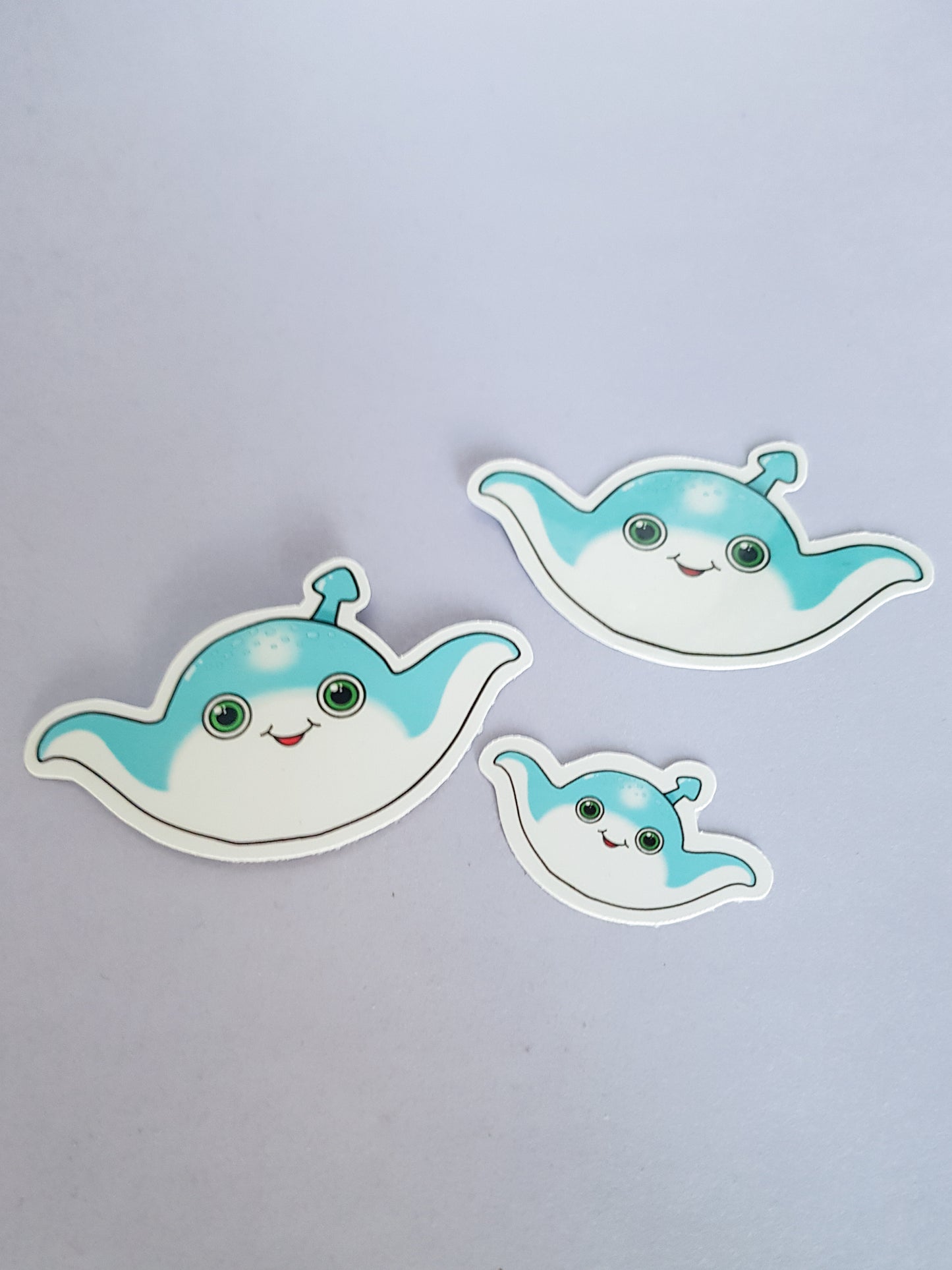 Ray Sticker - Laptop Sticker ~ Cute Die Cut Sticker ~ rays sticker