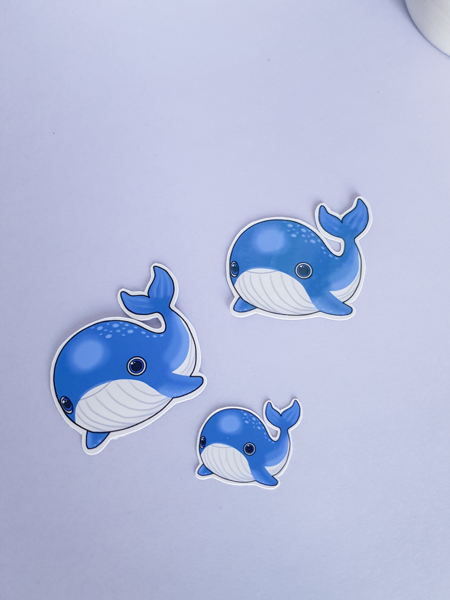 Whale Sticker - Laptop Sticker ~ Cute Die Cut Sticker ~ whale sticker
